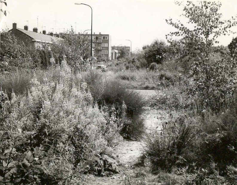 Le Roy-tuin Kennedylaan ±1977